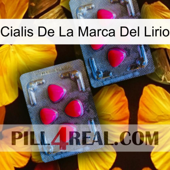 Lily Brand Cialis 14.jpg